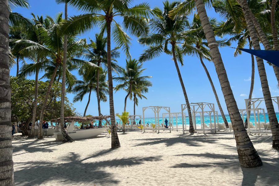 Private Saona Island and Chavon River Tour with Lunch and Drinks